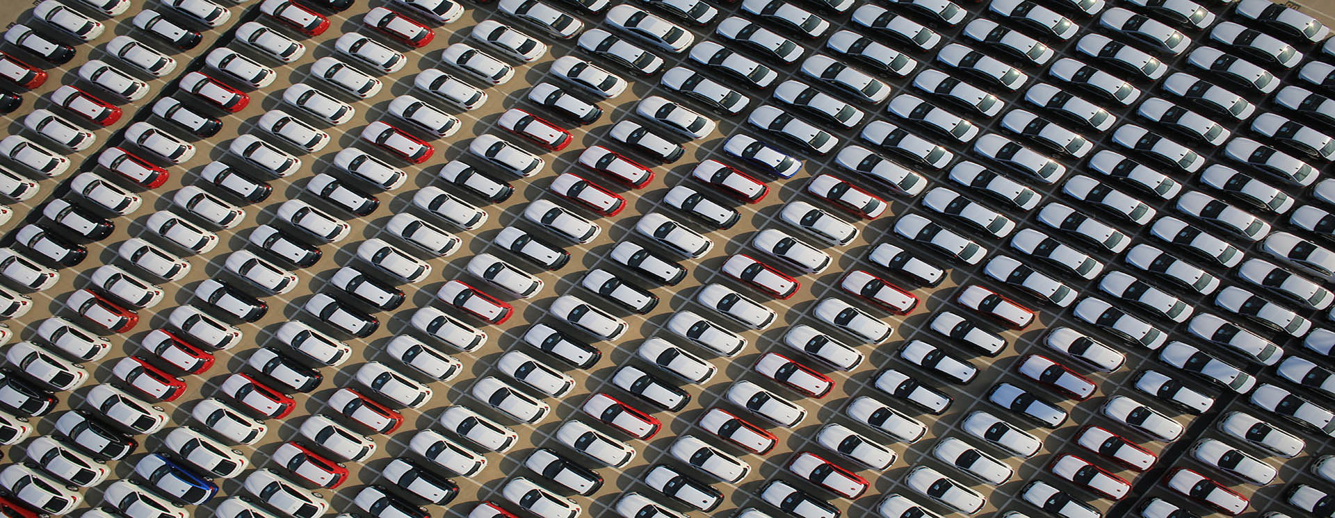 1720991559973531577 3